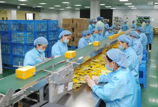 姚書記強調安全生產 確保國慶佳節平安祥和——重點關注茶葉制品生產領域